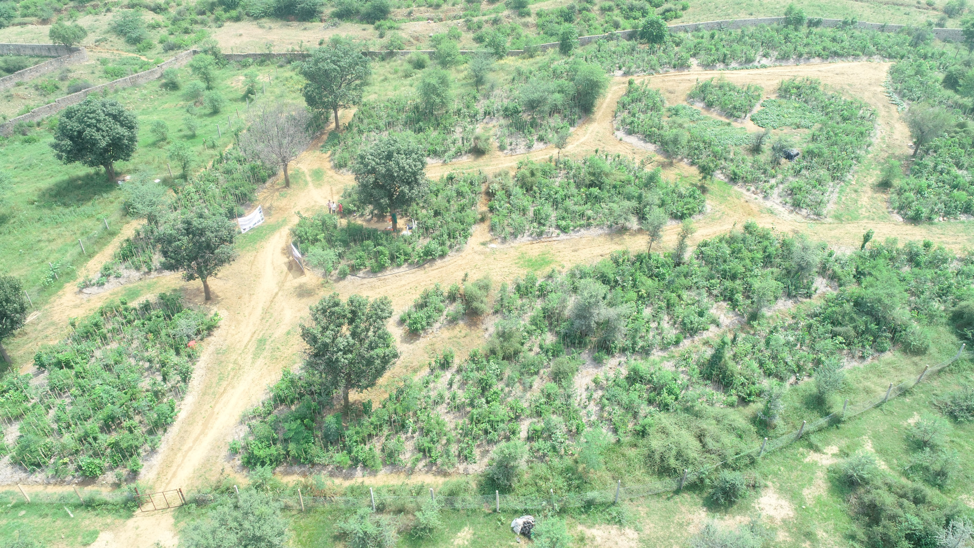 VGL Forest, Chandwaji A forest nestled in the Aravali to restore the biodiversity and support VGL’s commitment to going green.