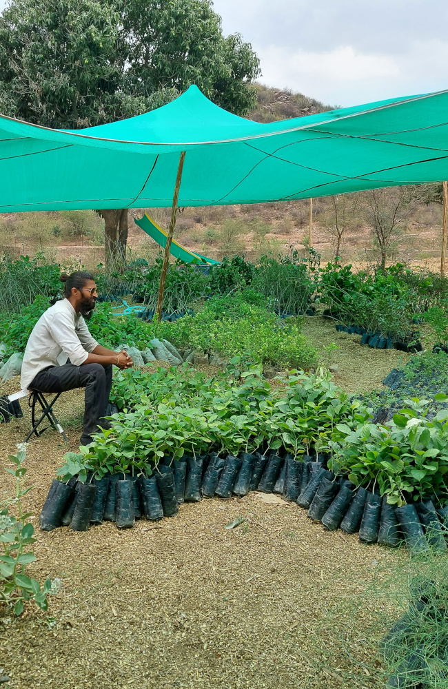 Site Nursery